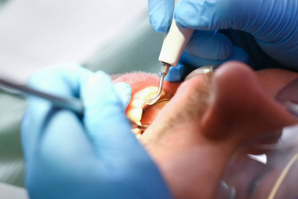 Best Pediatric Emergency Dentist in Pomona Park, FL